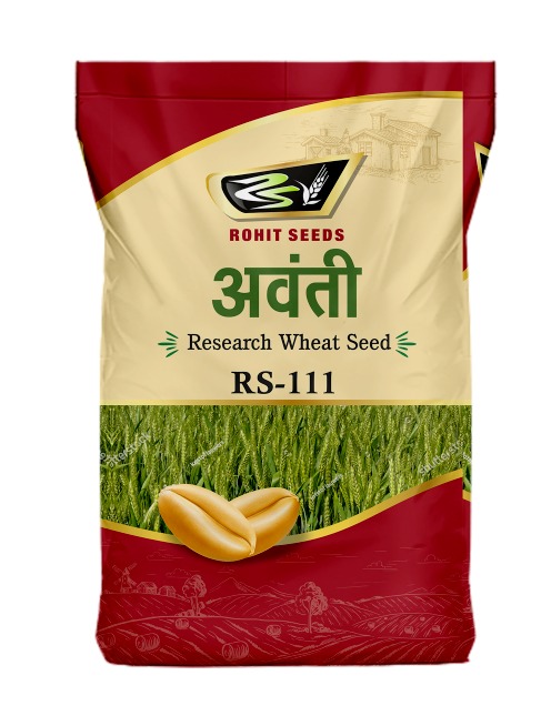 Wheat Avanti RS-111